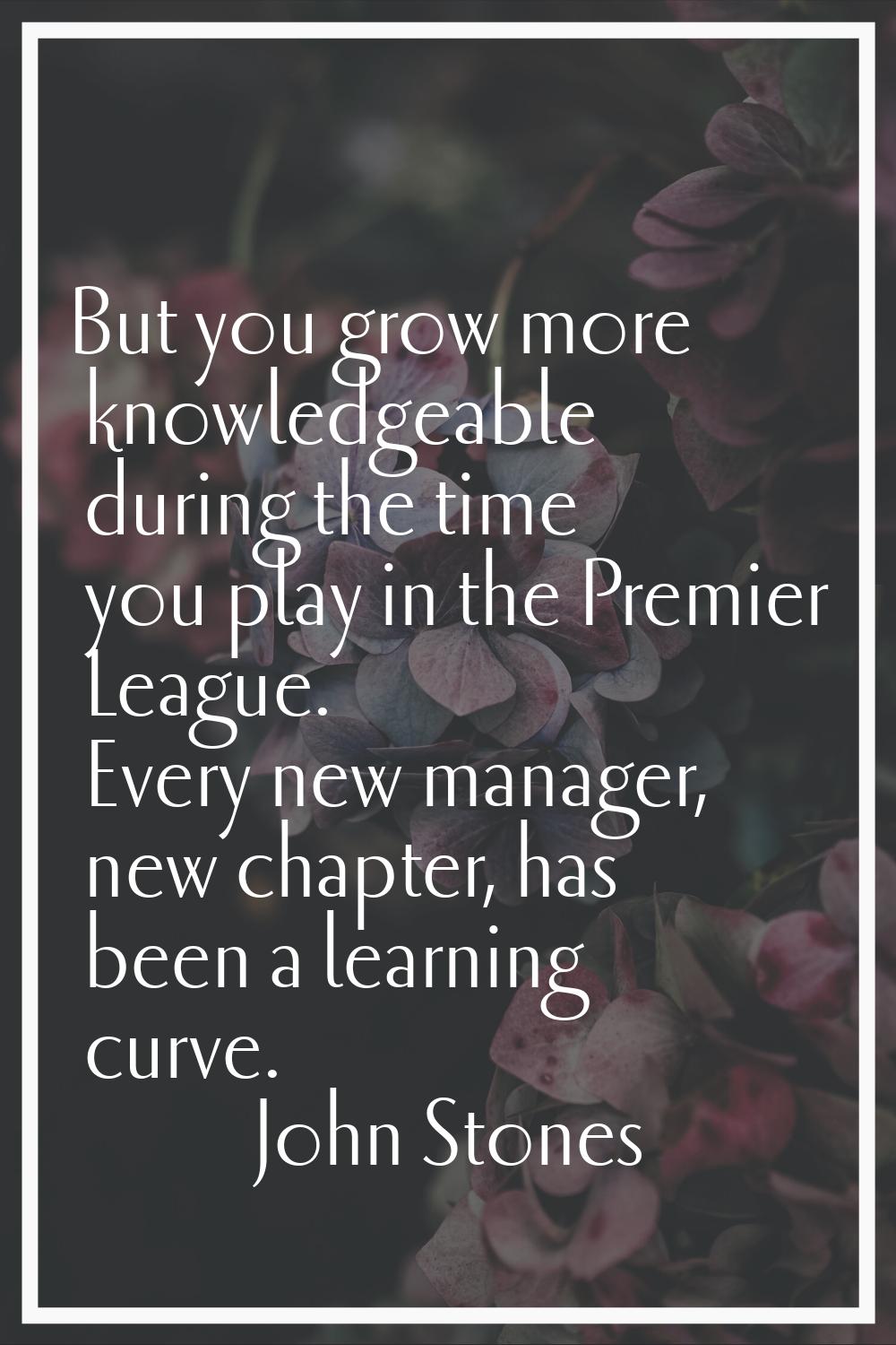 But you grow more knowledgeable during the time you play in the Premier League. Every new manager, 