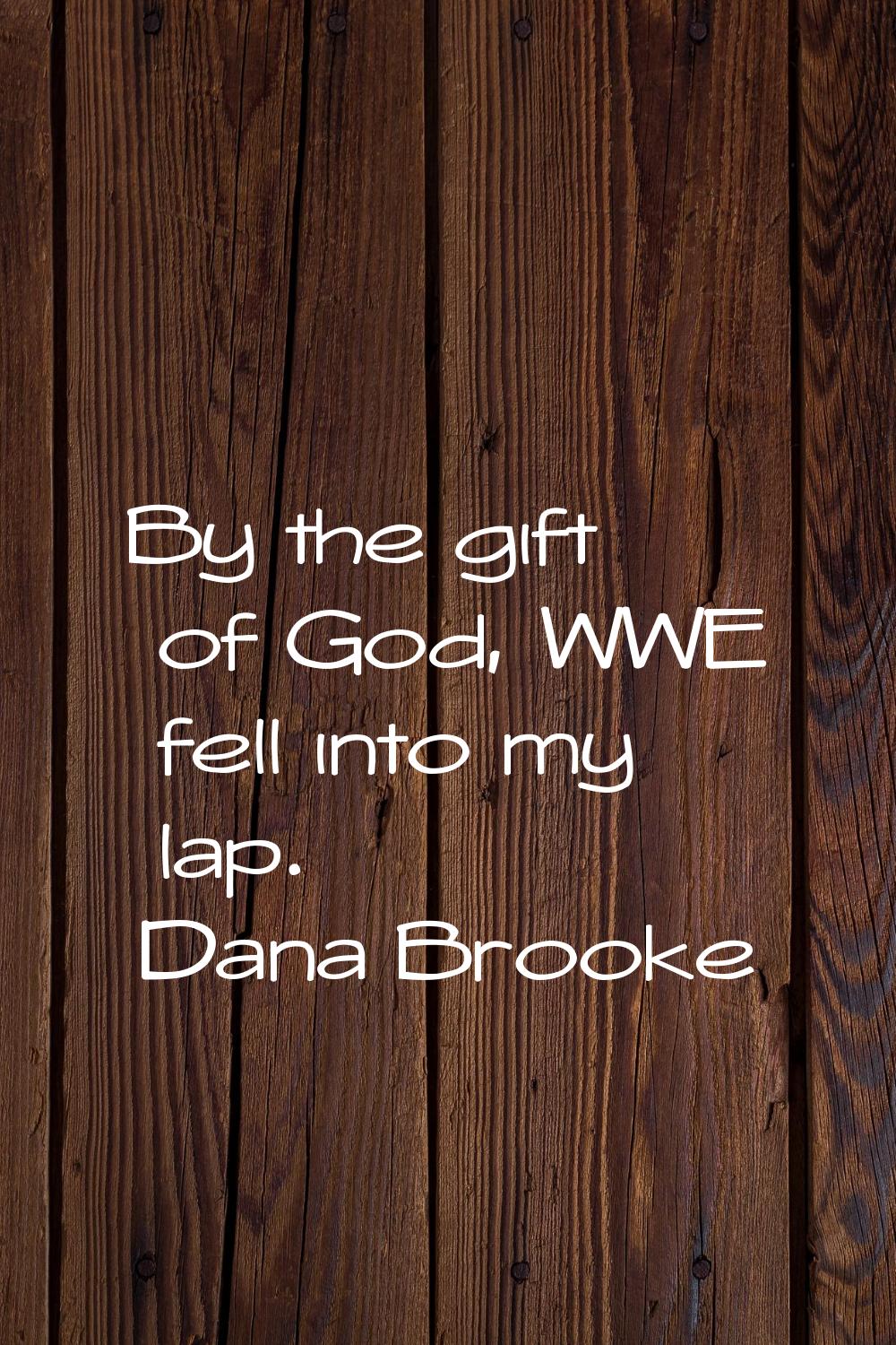 By the gift of God, WWE fell into my lap.