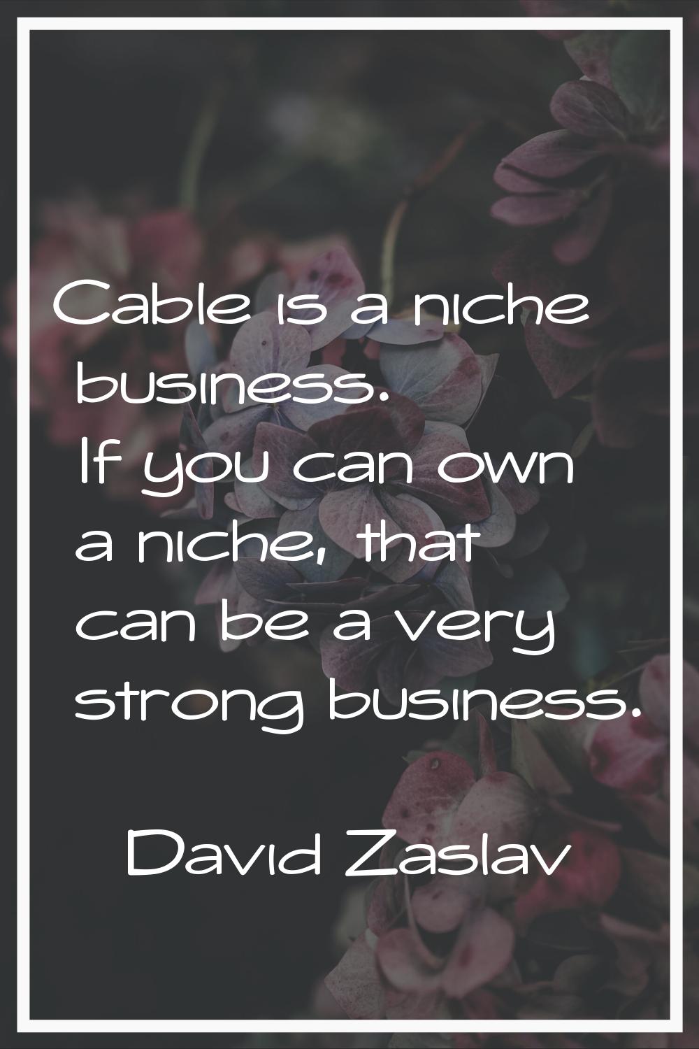 Cable is a niche business. If you can own a niche, that can be a very strong business.