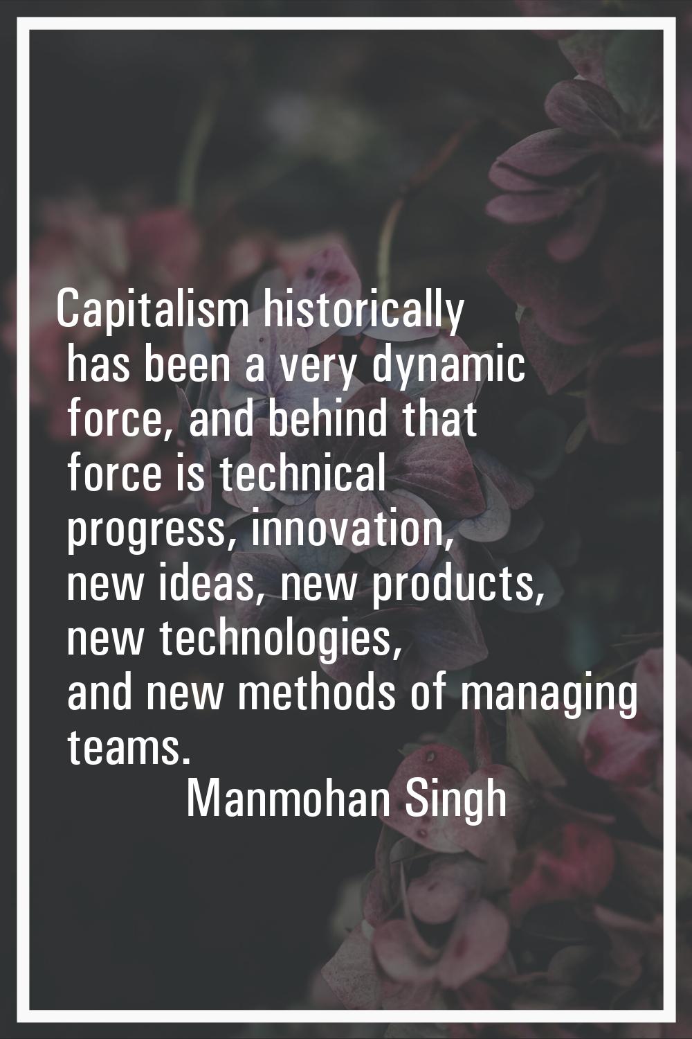 Capitalism historically has been a very dynamic force, and behind that force is technical progress,