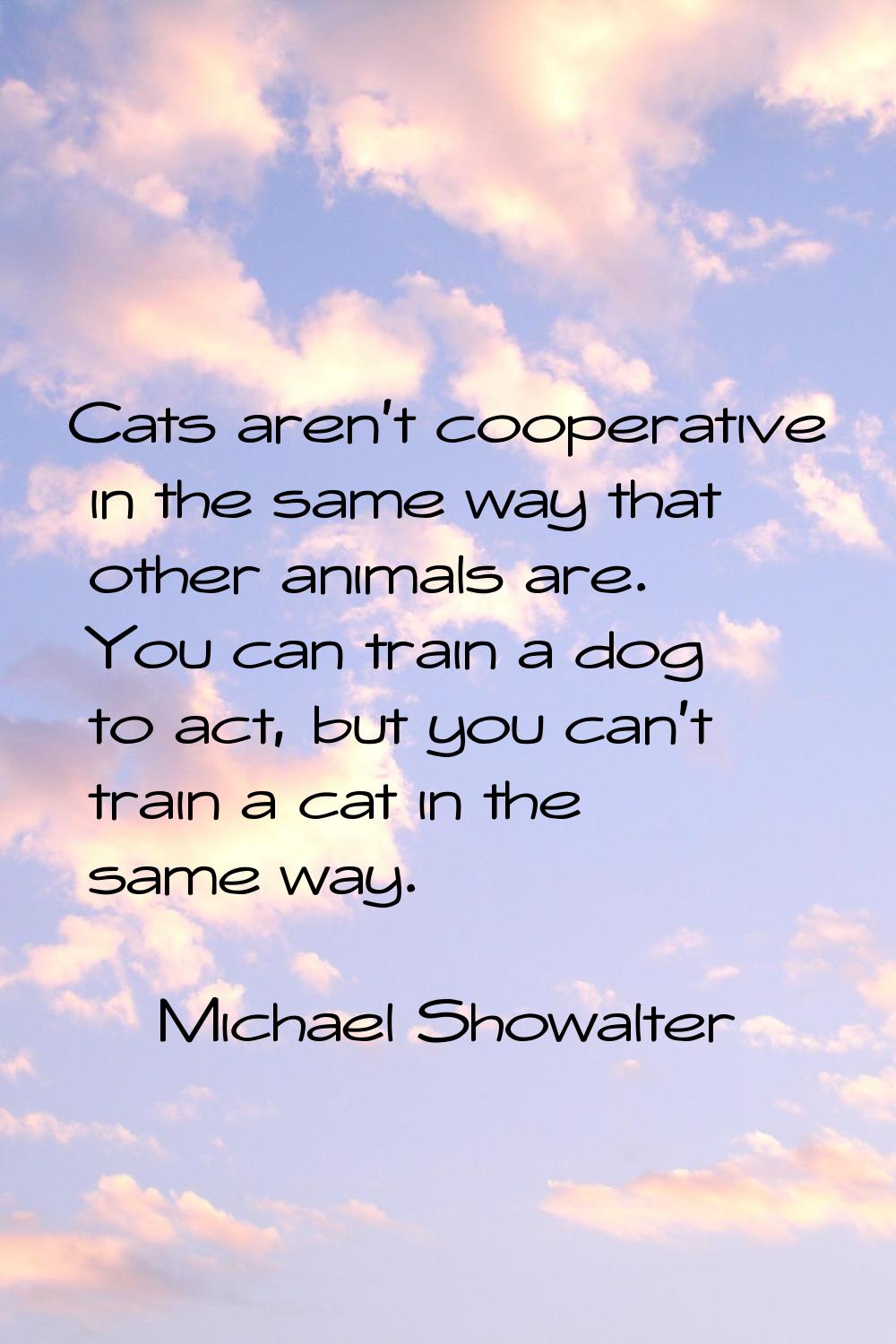 Cats aren't cooperative in the same way that other animals are. You can train a dog to act, but you