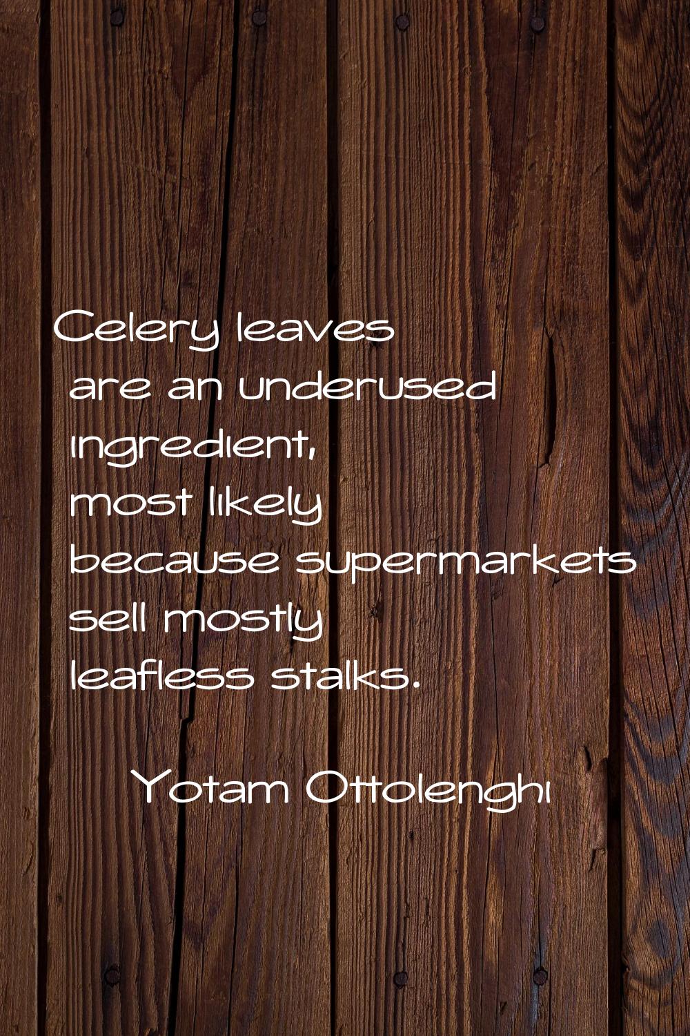 Celery leaves are an underused ingredient, most likely because supermarkets sell mostly leafless st