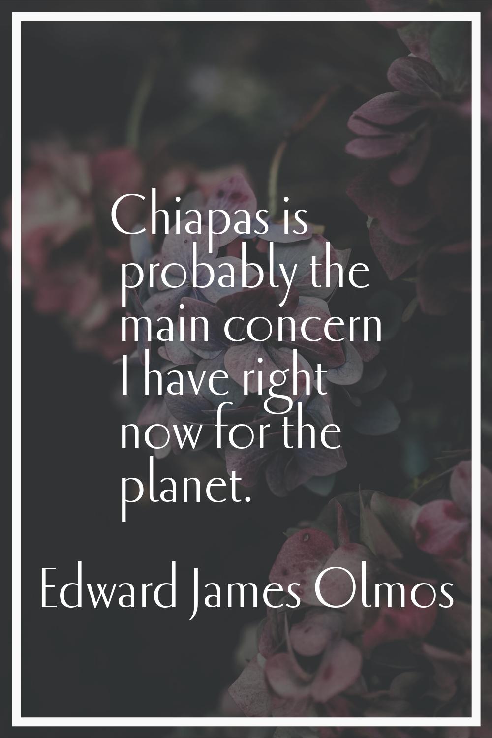 Chiapas is probably the main concern I have right now for the planet.