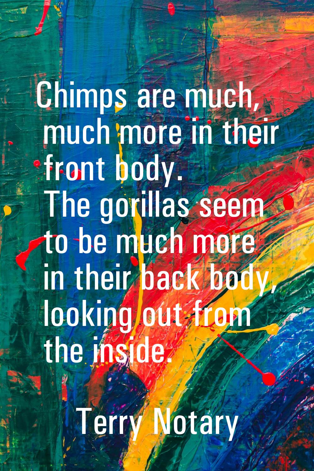 Chimps are much, much more in their front body. The gorillas seem to be much more in their back bod