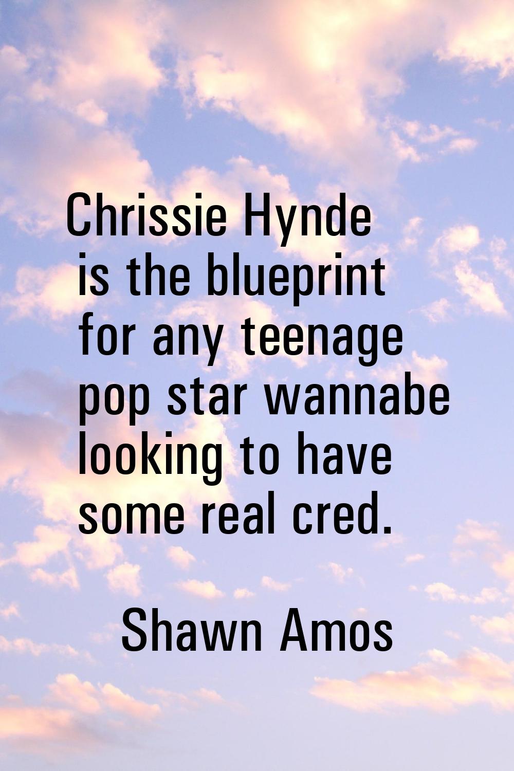 Chrissie Hynde is the blueprint for any teenage pop star wannabe looking to have some real cred.