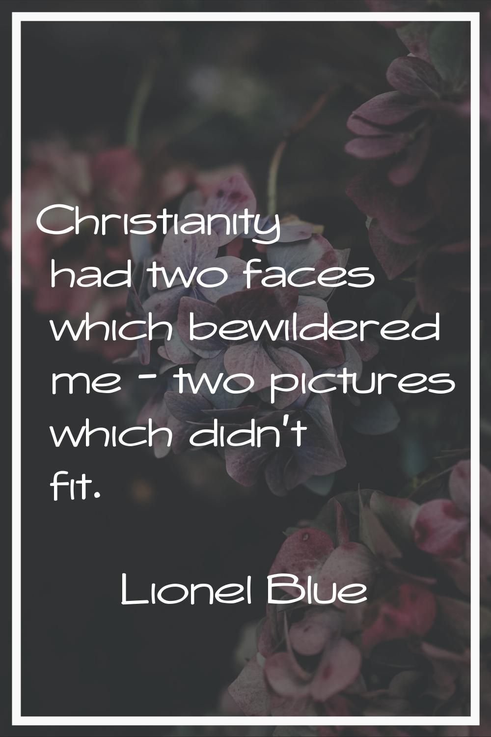 Christianity had two faces which bewildered me - two pictures which didn't fit.