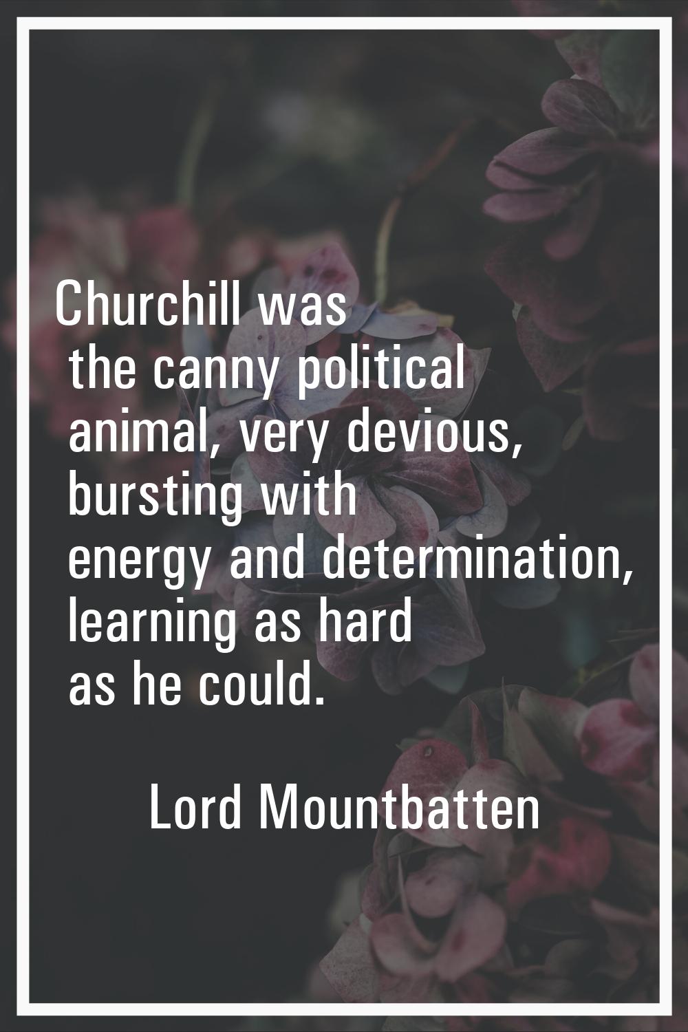 Churchill was the canny political animal, very devious, bursting with energy and determination, lea