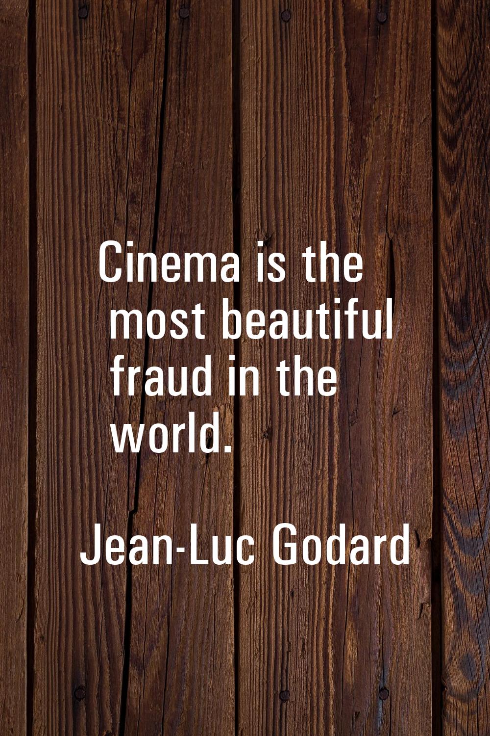 Cinema is the most beautiful fraud in the world.