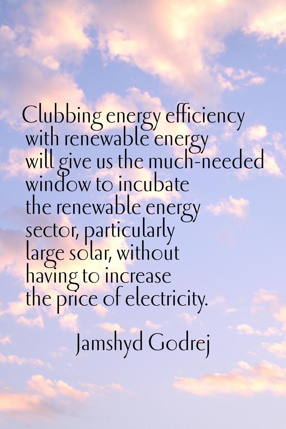 Clubbing energy efficiency with renewable energy will give us the much-needed window to incubate th