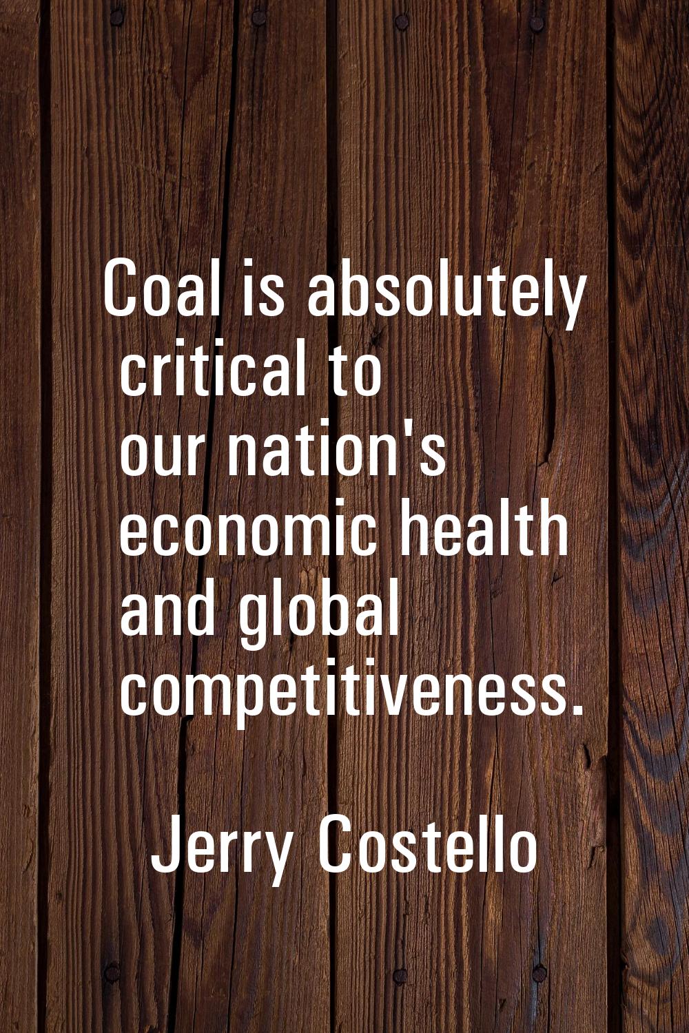 Coal is absolutely critical to our nation's economic health and global competitiveness.