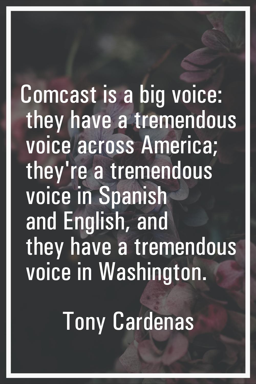 Comcast is a big voice: they have a tremendous voice across America; they're a tremendous voice in 