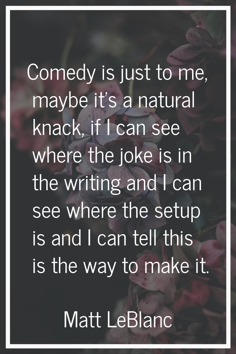 Comedy is just to me, maybe it's a natural knack, if I can see where the joke is in the writing and