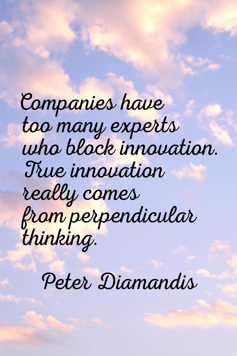 Companies have too many experts who block innovation. True innovation really comes from perpendicul