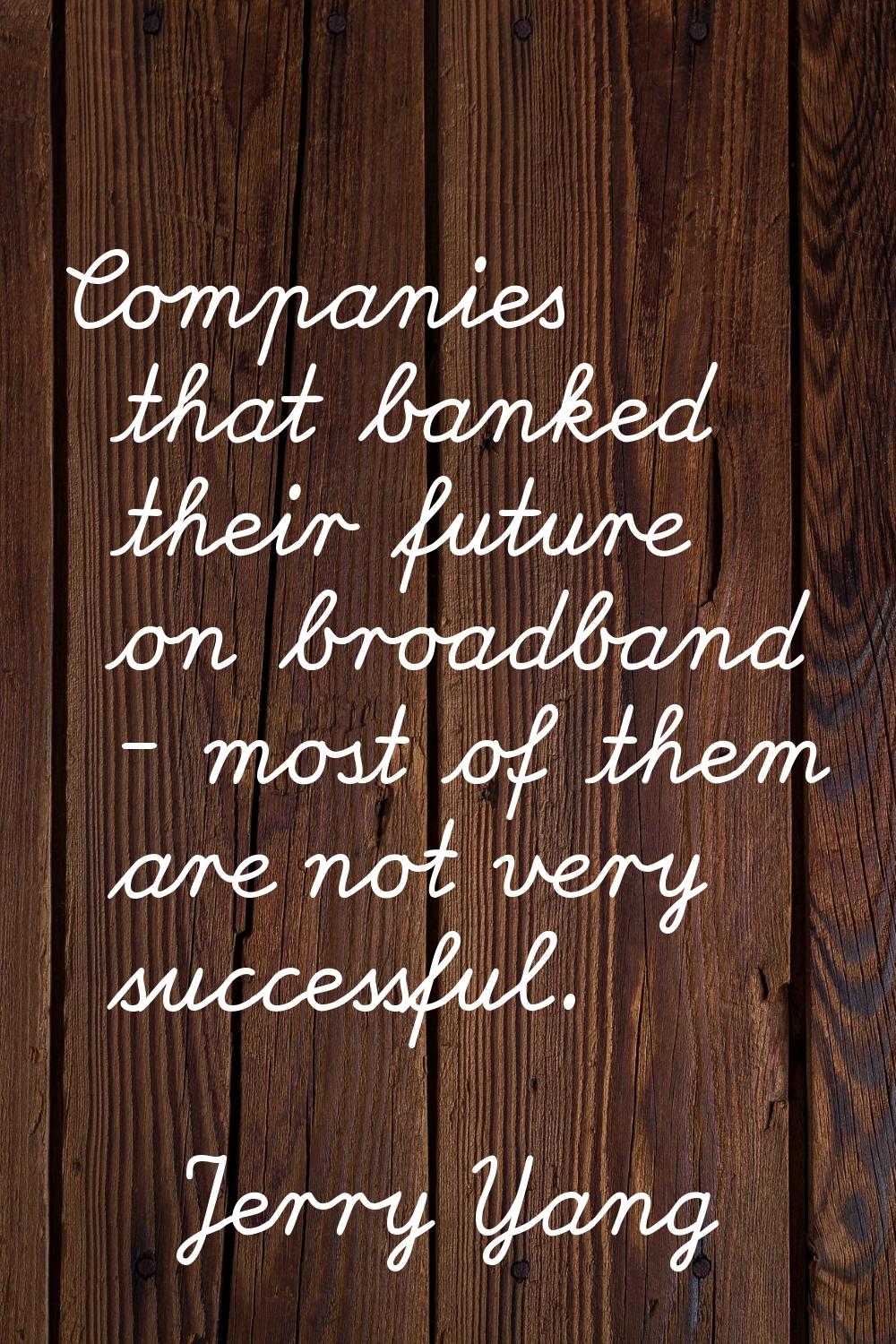 Companies that banked their future on broadband - most of them are not very successful.