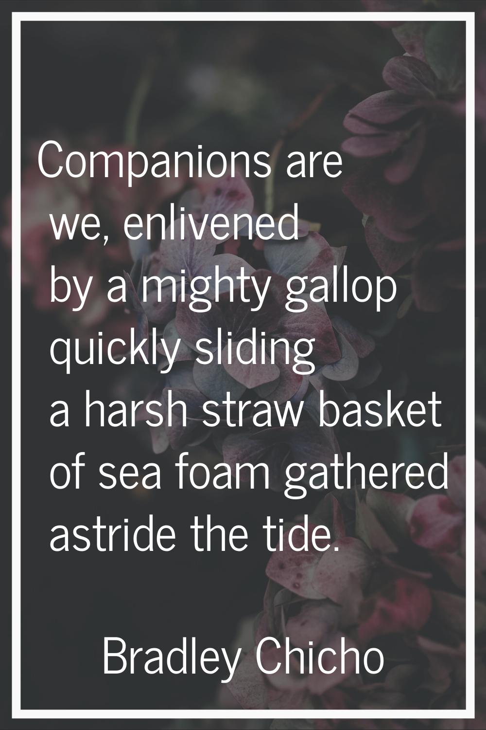 Companions are we, enlivened by a mighty gallop quickly sliding a harsh straw basket of sea foam ga