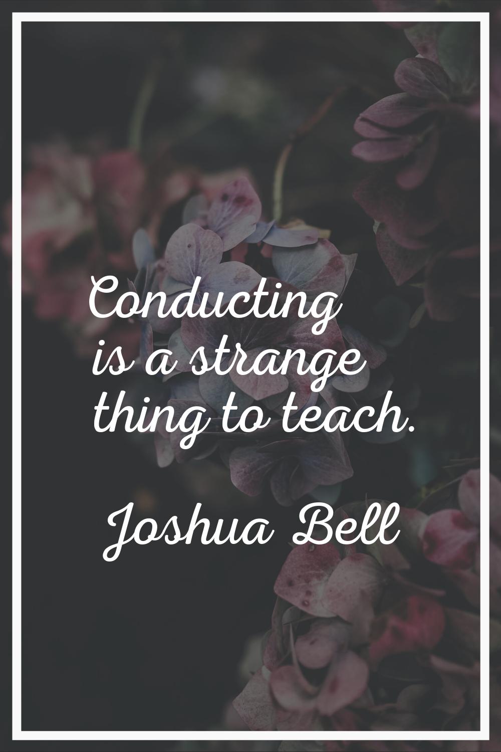 Conducting is a strange thing to teach.