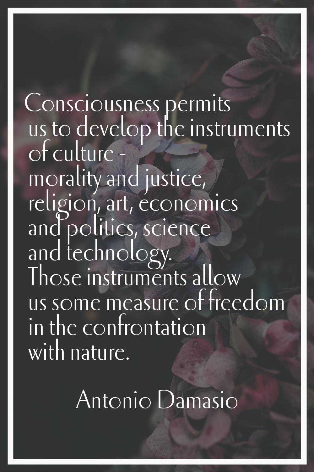 Consciousness permits us to develop the instruments of culture - morality and justice, religion, ar
