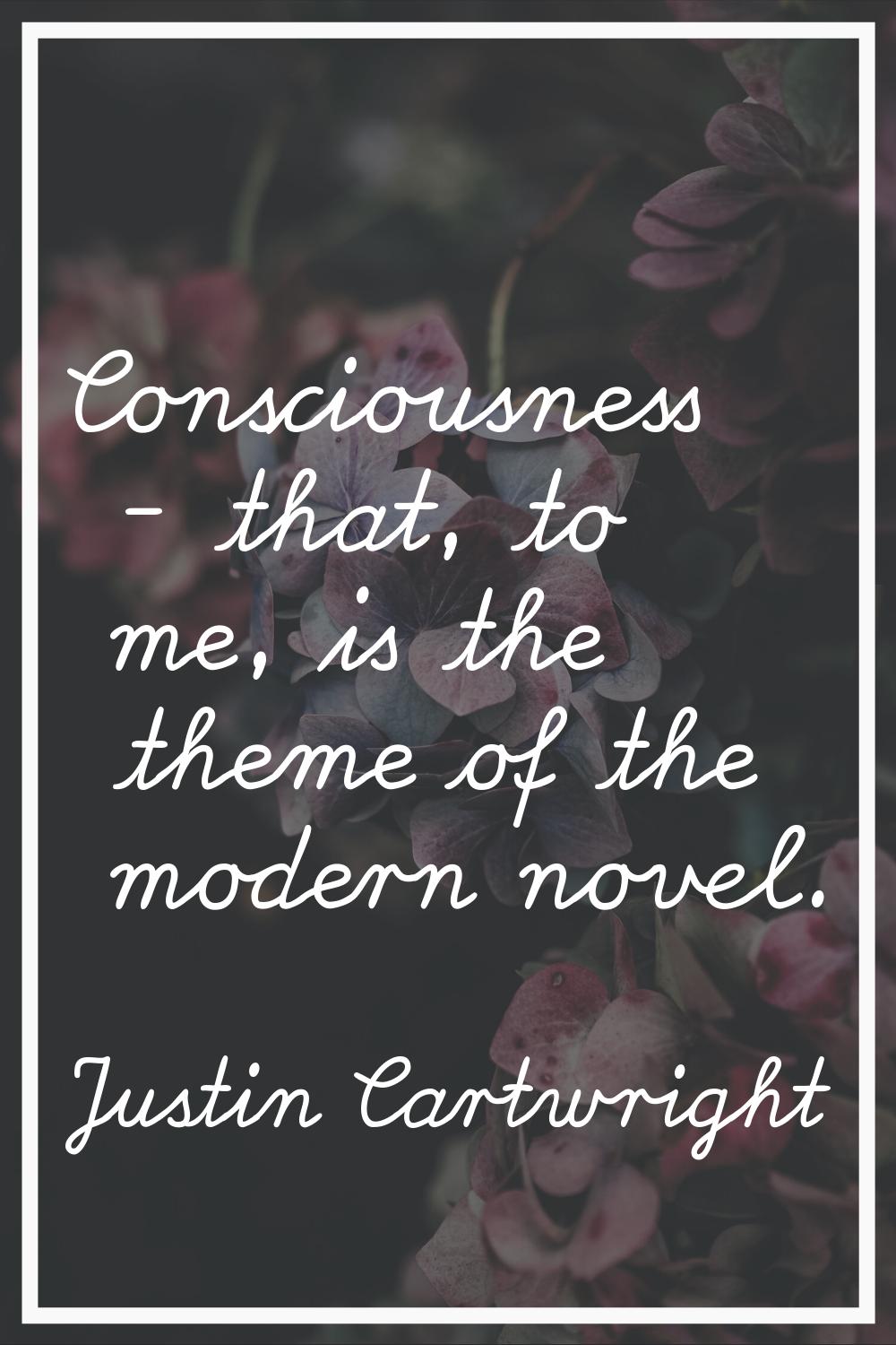 Consciousness - that, to me, is the theme of the modern novel.