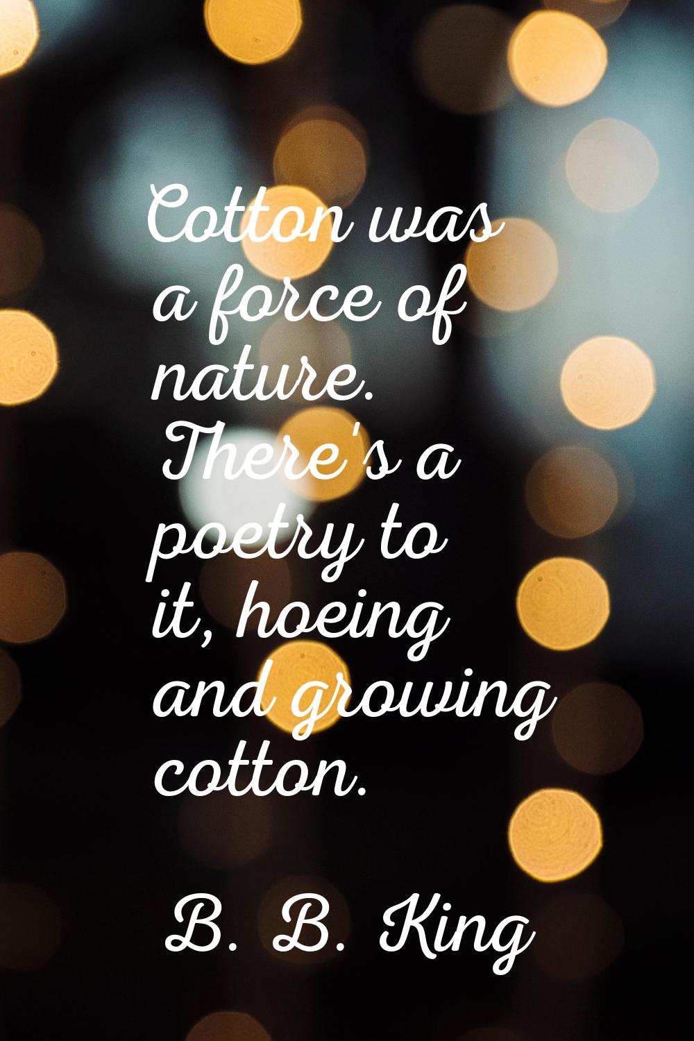 Cotton was a force of nature. There's a poetry to it, hoeing and growing cotton.