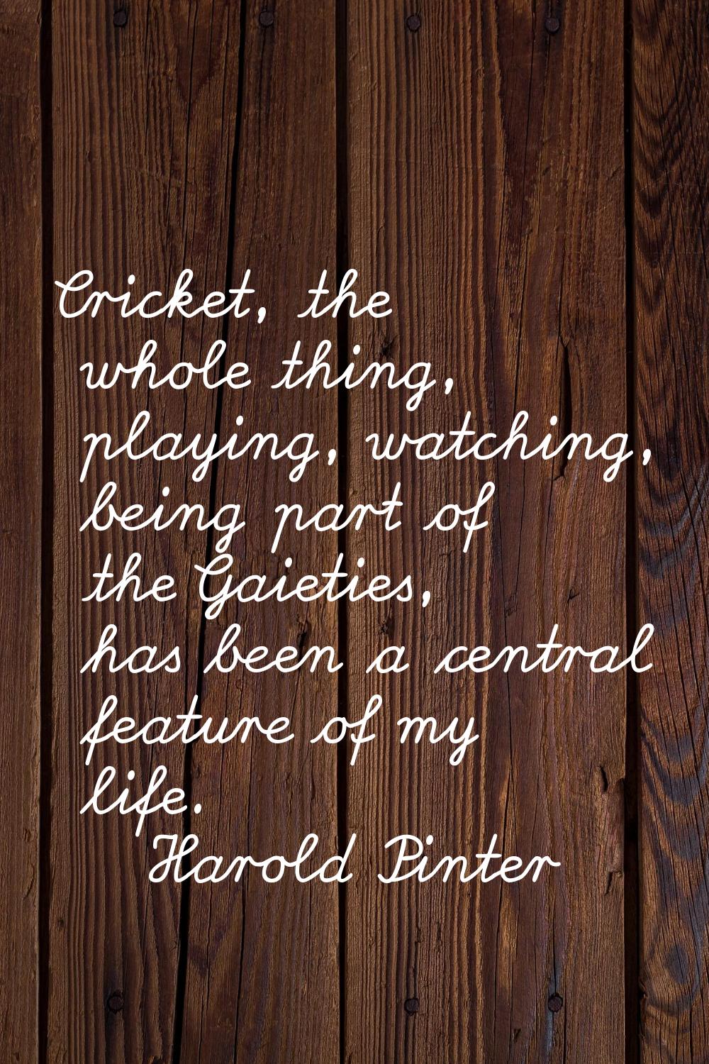 Cricket, the whole thing, playing, watching, being part of the Gaieties, has been a central feature