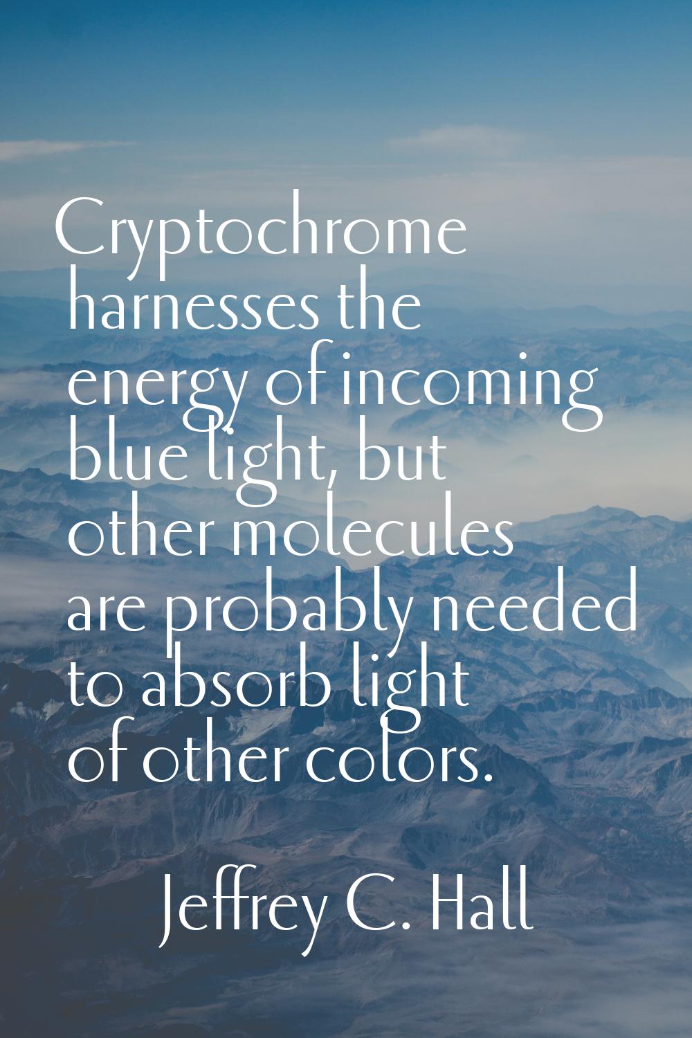 Cryptochrome harnesses the energy of incoming blue light, but other molecules are probably needed t