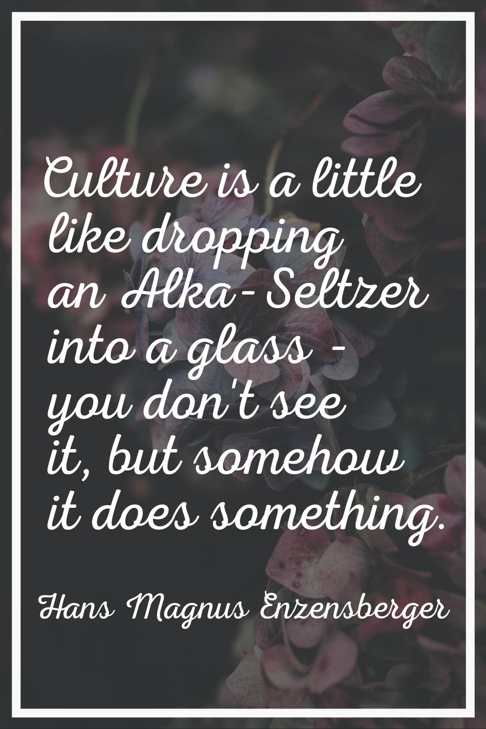 Culture is a little like dropping an Alka-Seltzer into a glass - you don't see it, but somehow it d