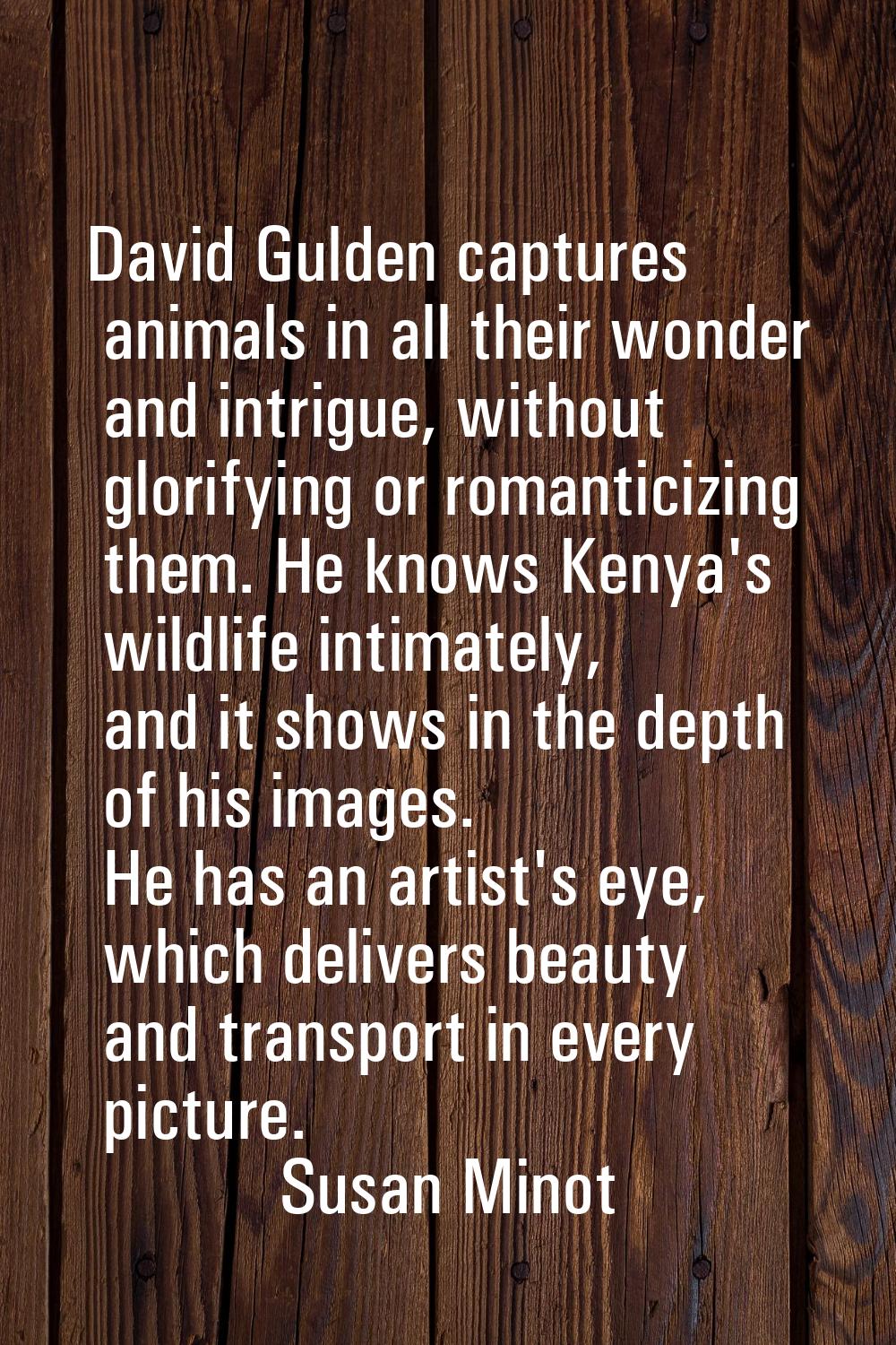 David Gulden captures animals in all their wonder and intrigue, without glorifying or romanticizing