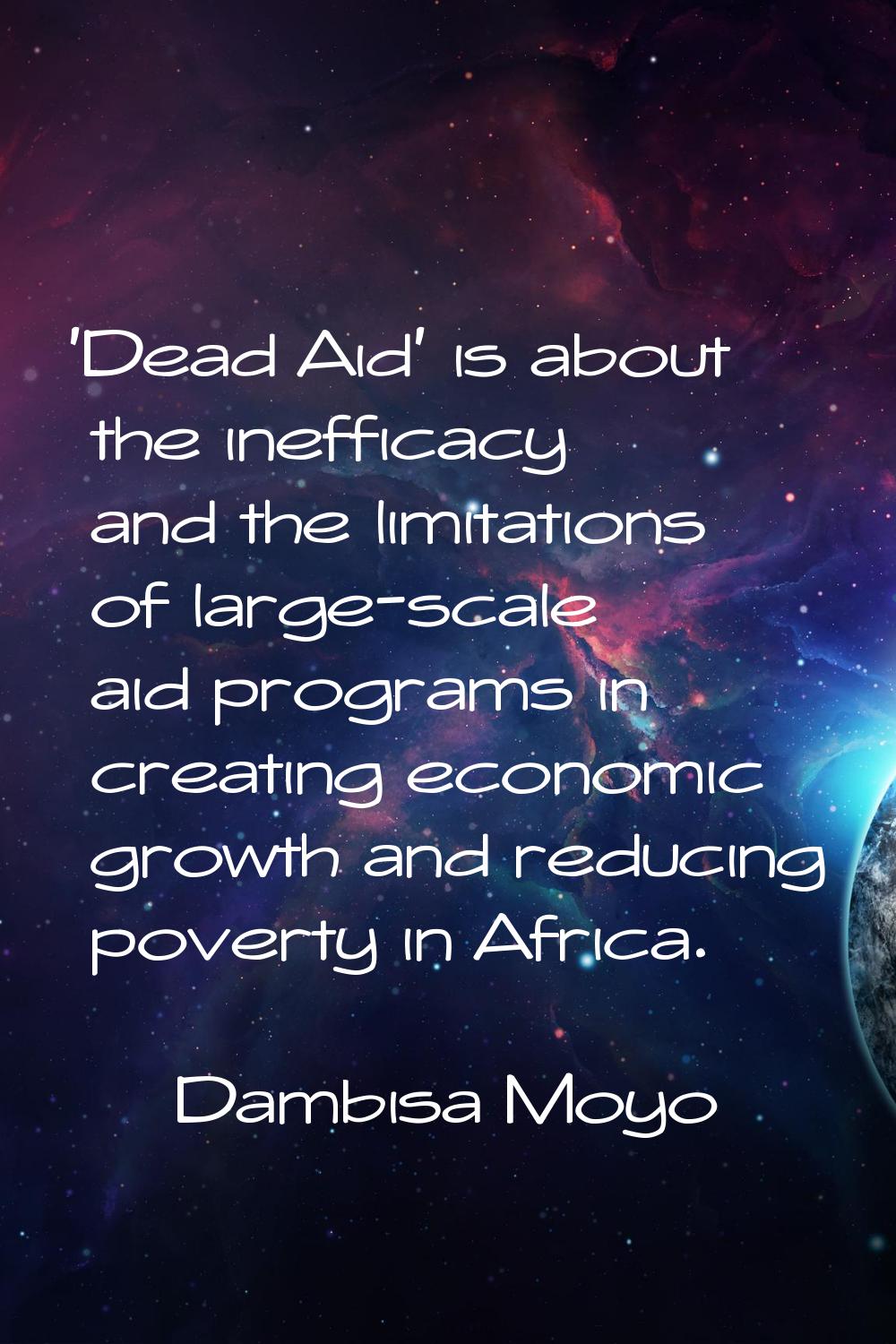 'Dead Aid' is about the inefficacy and the limitations of large-scale aid programs in creating econ