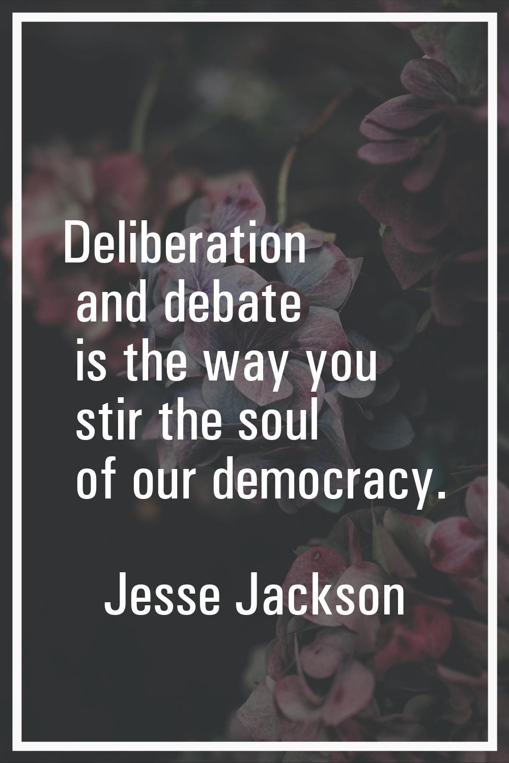 Deliberation and debate is the way you stir the soul of our democracy.