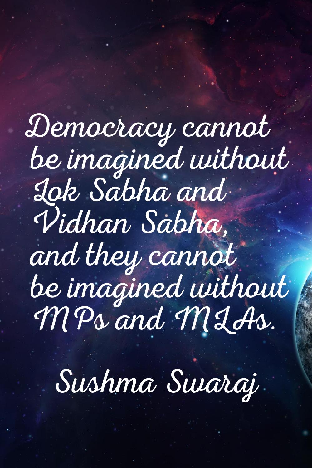 Democracy cannot be imagined without Lok Sabha and Vidhan Sabha, and they cannot be imagined withou