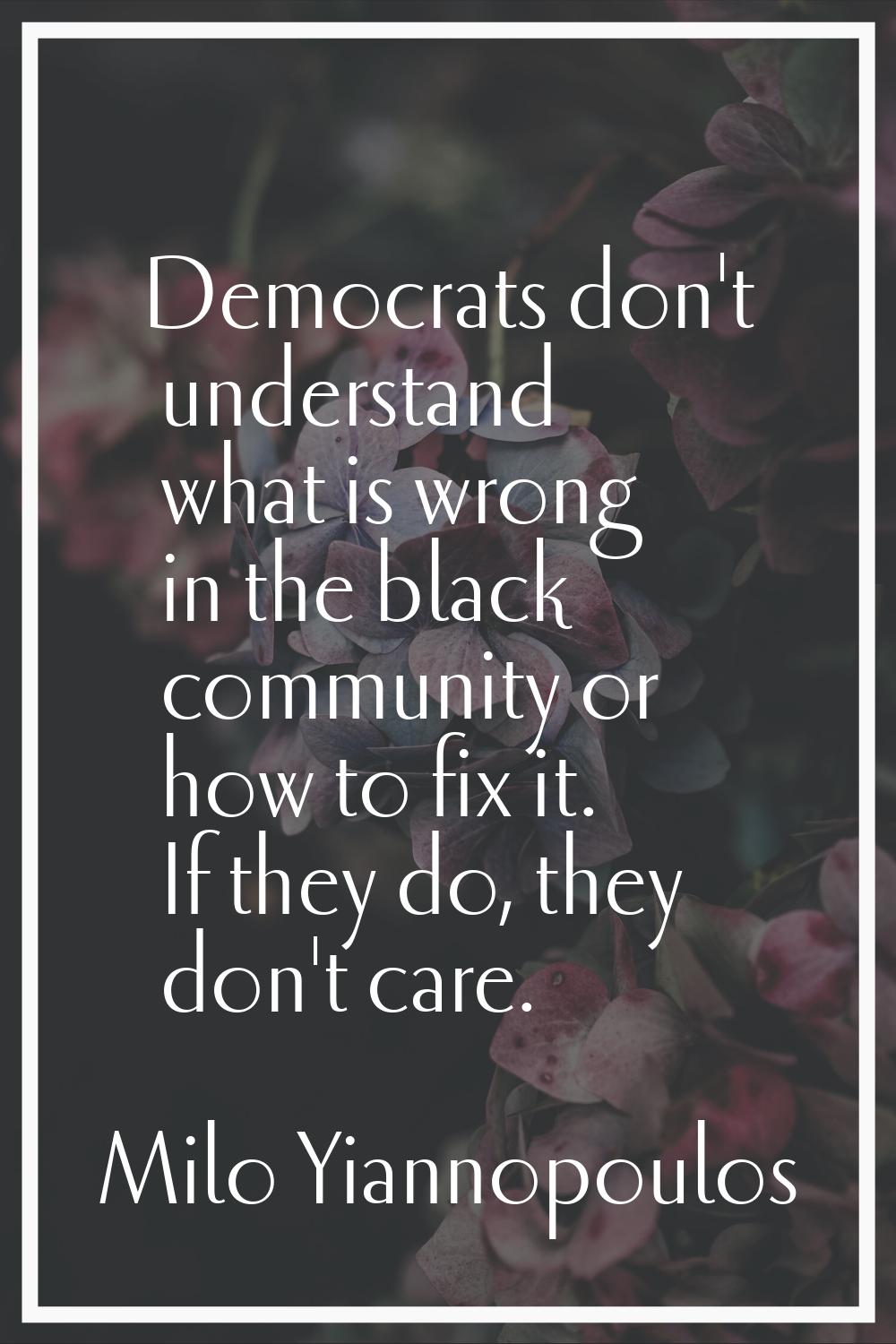 Democrats don't understand what is wrong in the black community or how to fix it. If they do, they 