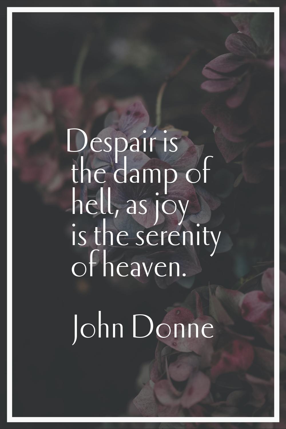 Despair is the damp of hell, as joy is the serenity of heaven.