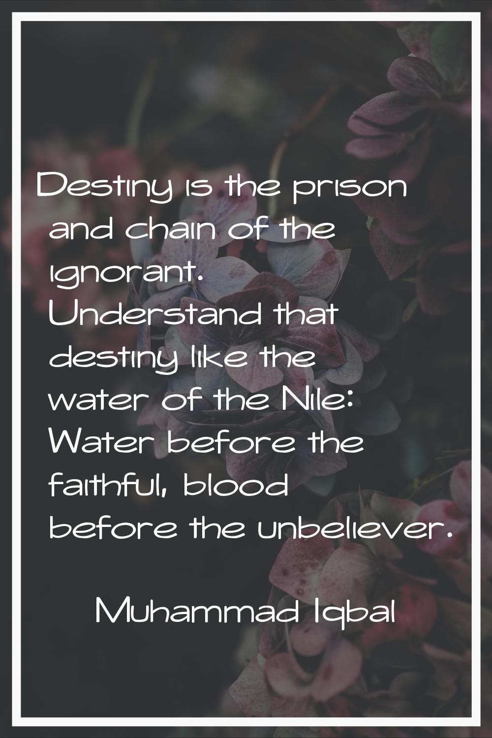 Destiny is the prison and chain of the ignorant. Understand that destiny like the water of the Nile