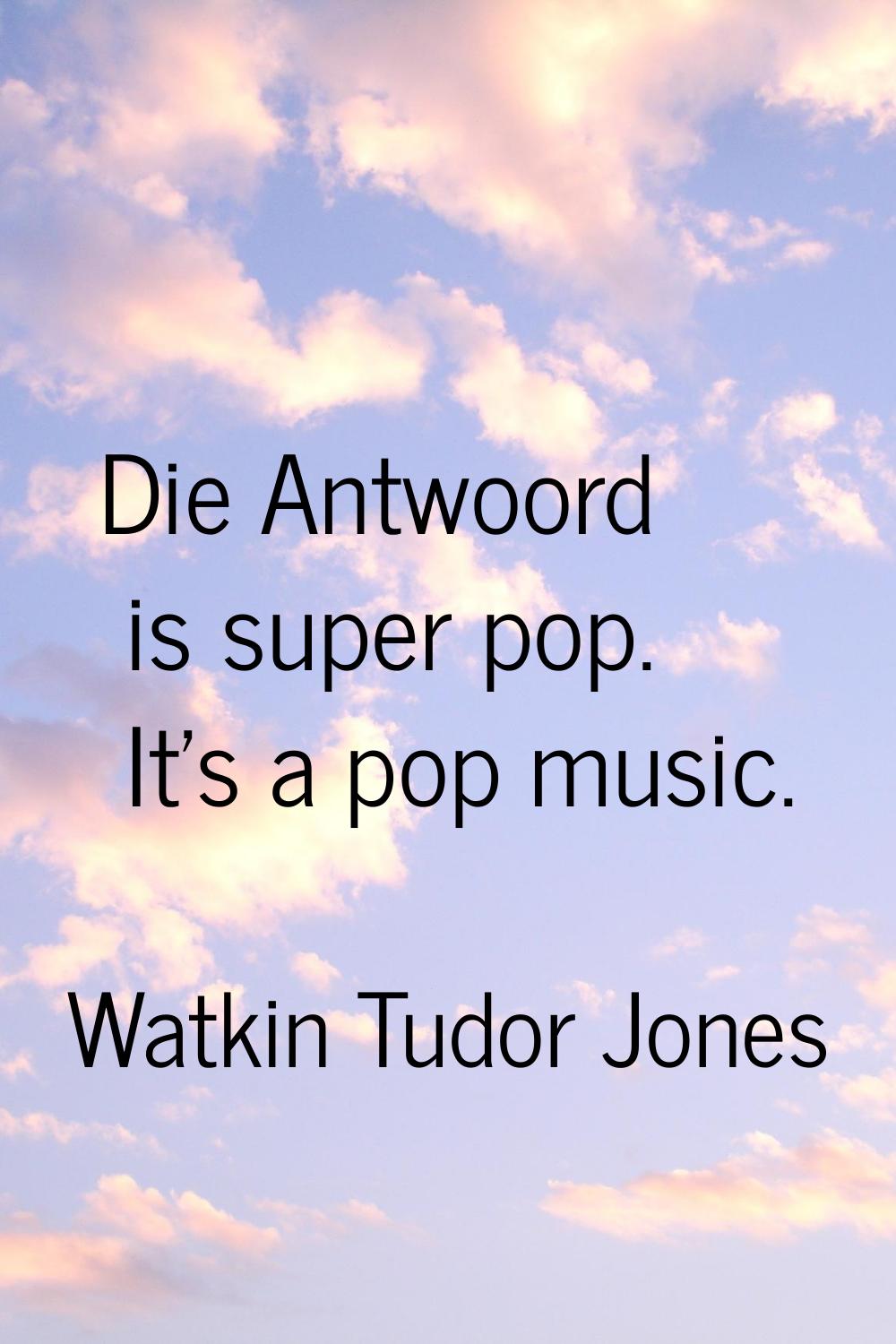 Die Antwoord is super pop. It's a pop music.