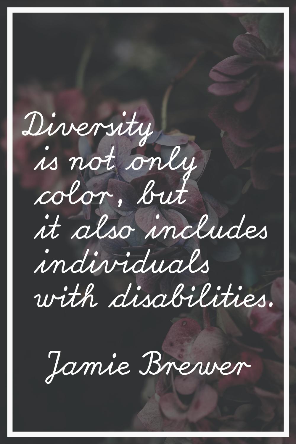 Diversity is not only color, but it also includes individuals with disabilities.