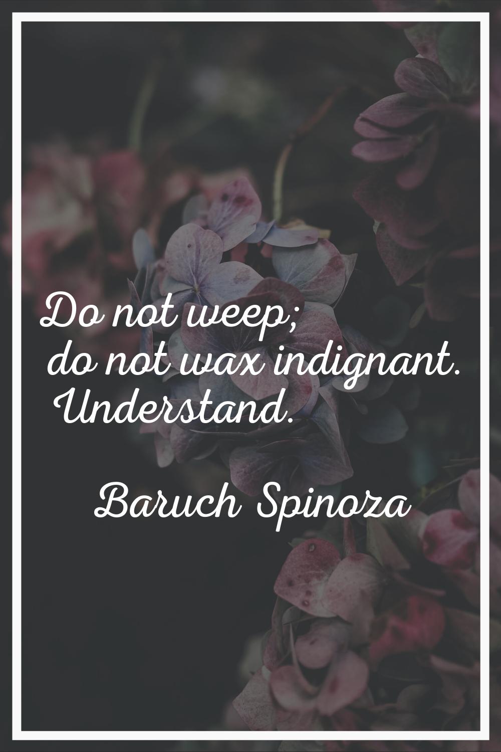 Do not weep; do not wax indignant. Understand.