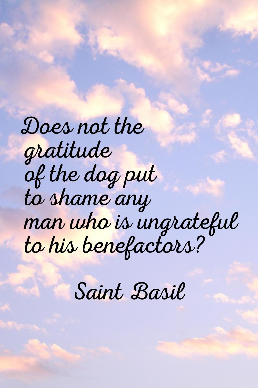 Does not the gratitude of the dog put to shame any man who is ungrateful to his benefactors?