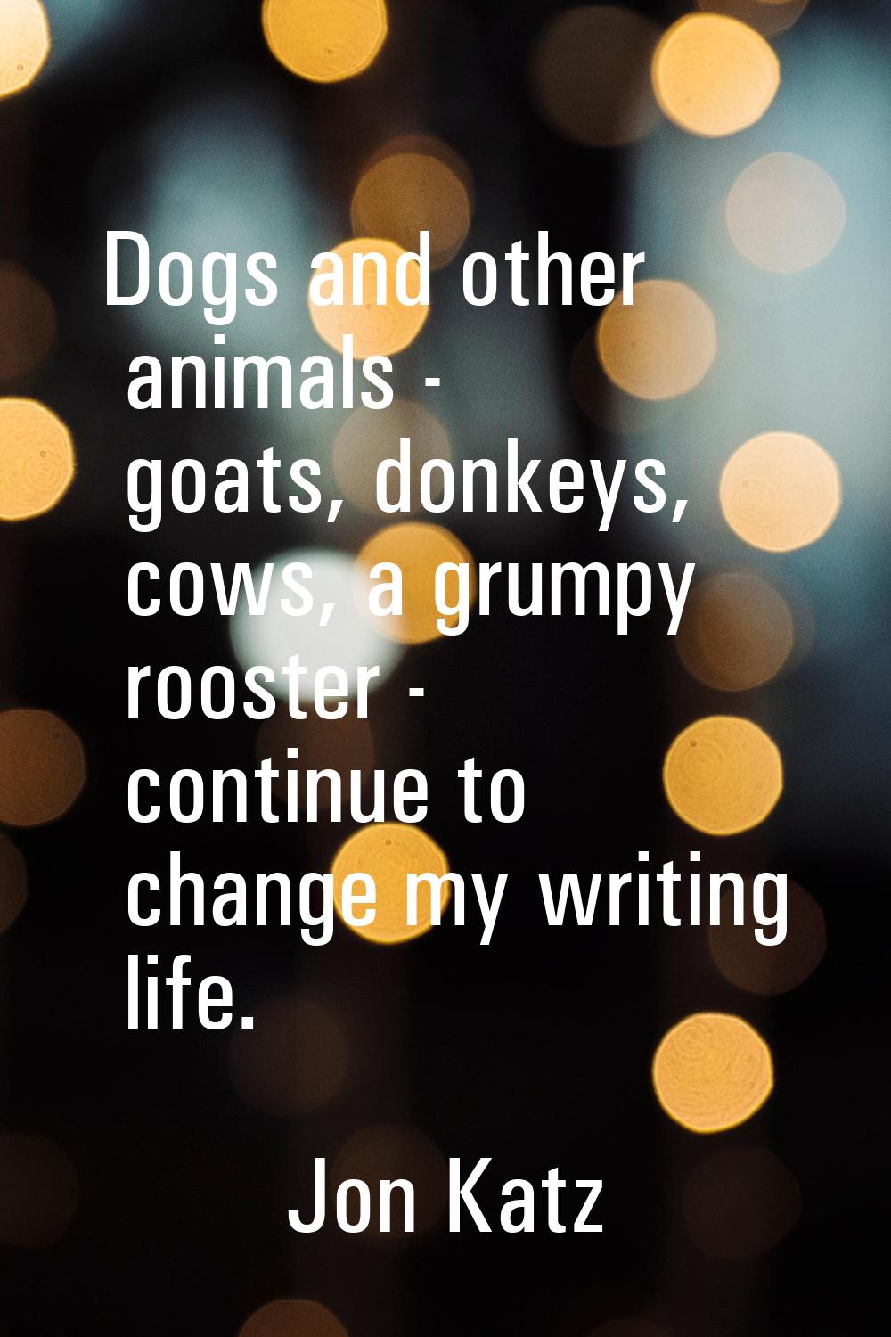 Dogs and other animals - goats, donkeys, cows, a grumpy rooster - continue to change my writing lif