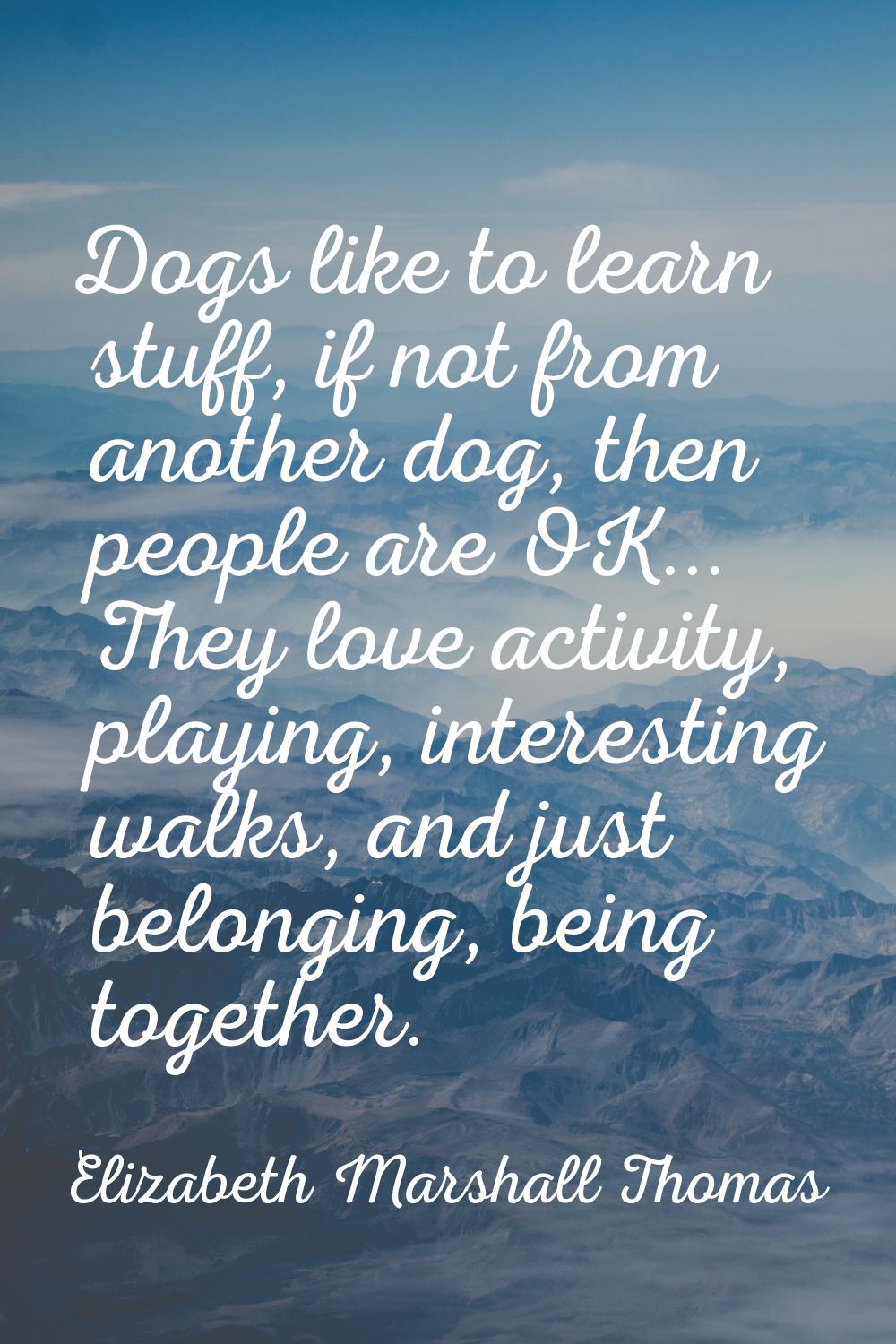Dogs like to learn stuff, if not from another dog, then people are OK... They love activity, playin