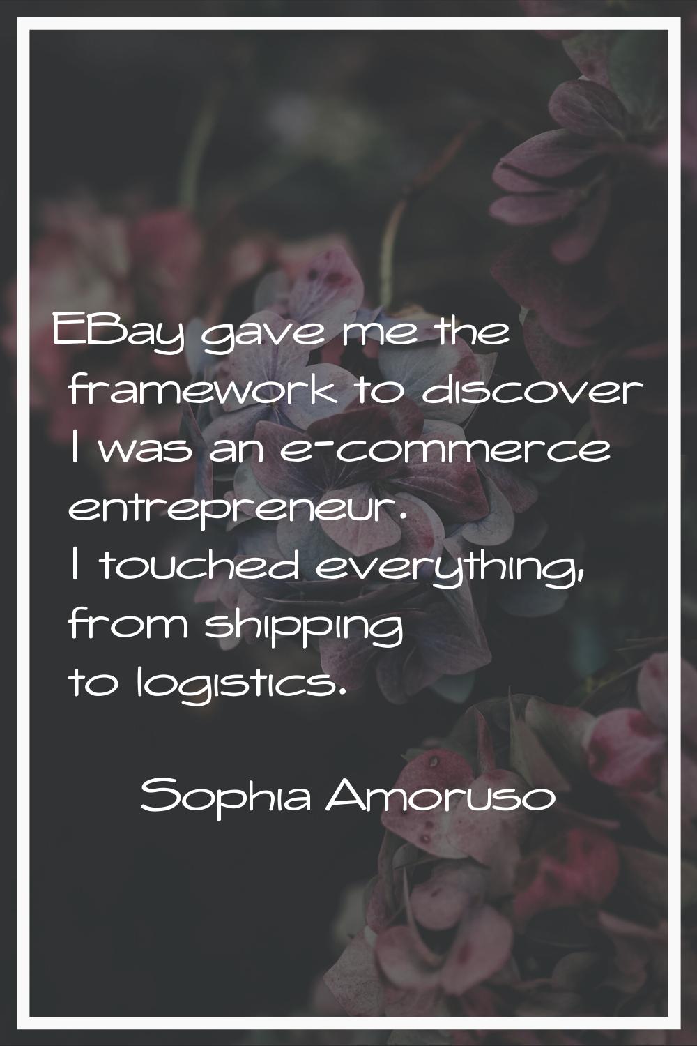 EBay gave me the framework to discover I was an e-commerce entrepreneur. I touched everything, from