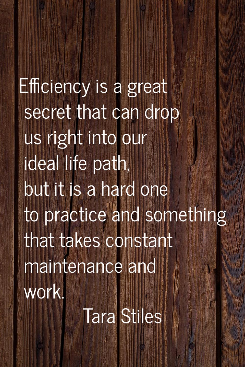 Efficiency is a great secret that can drop us right into our ideal life path, but it is a hard one 