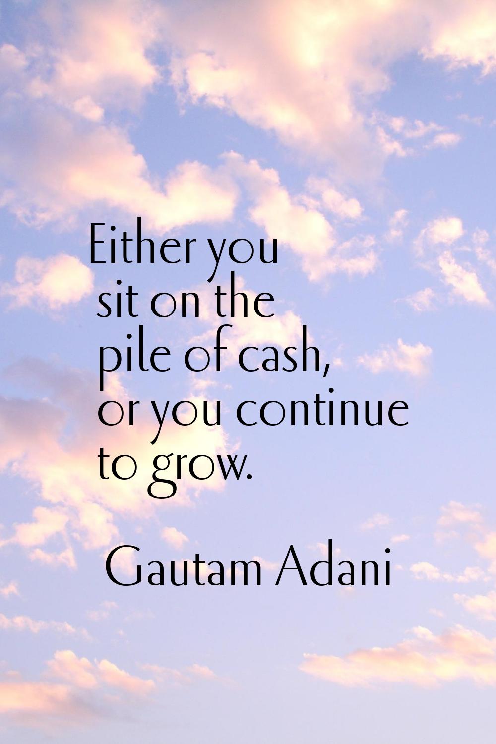 Either you sit on the pile of cash, or you continue to grow.