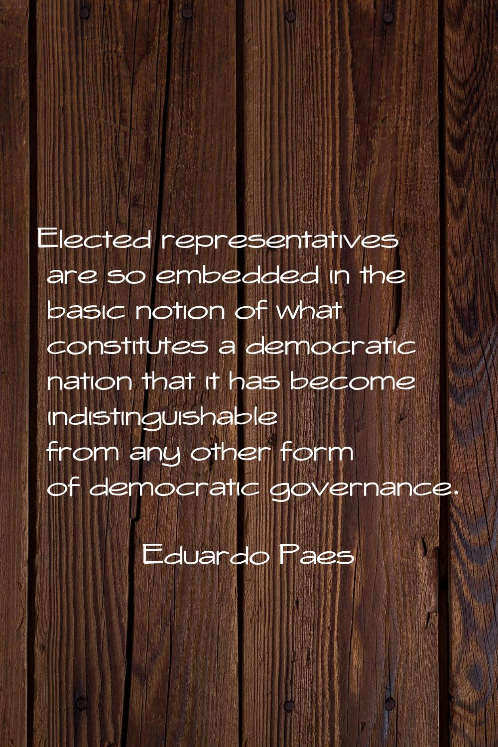 Elected representatives are so embedded in the basic notion of what constitutes a democratic nation