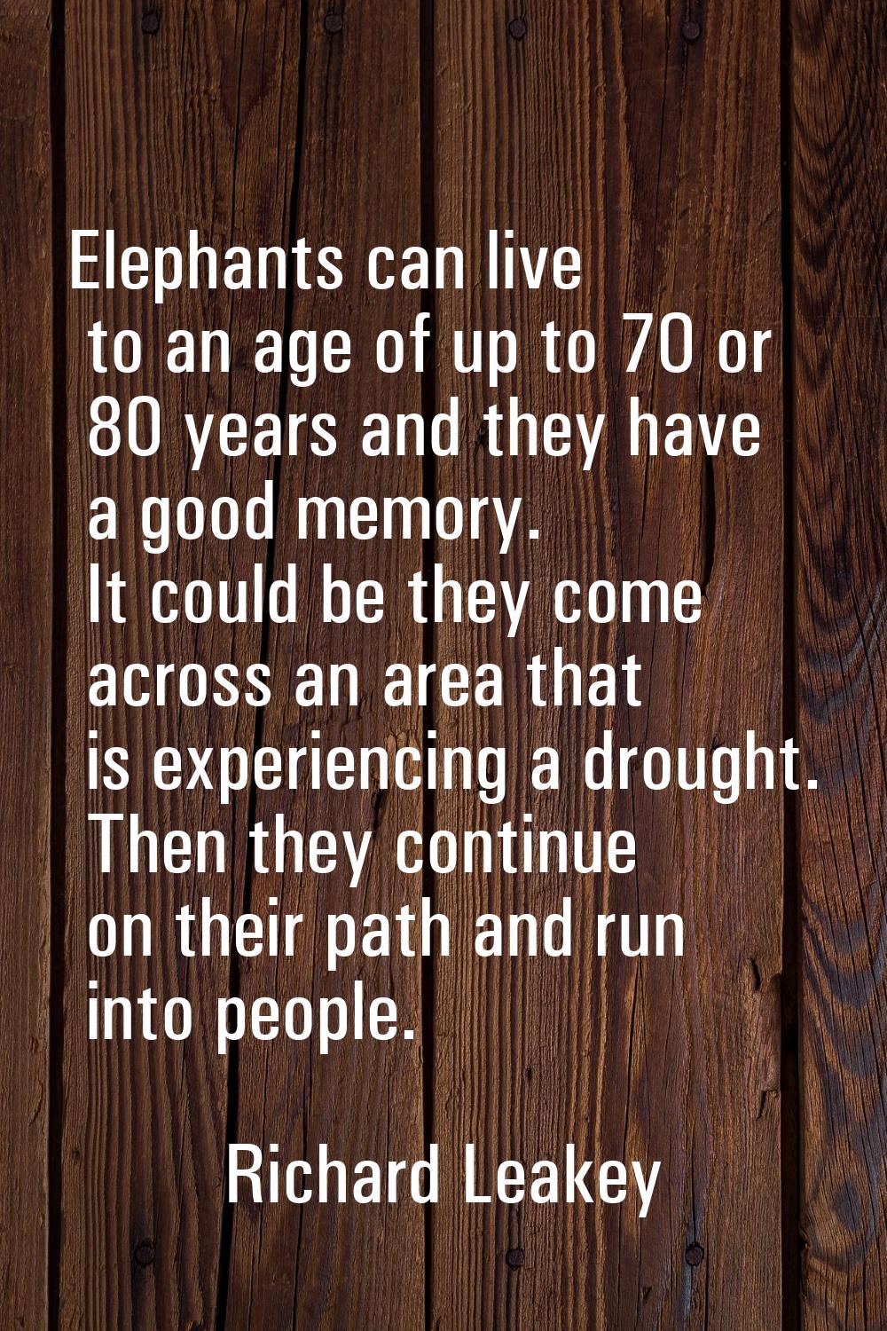 Elephants can live to an age of up to 70 or 80 years and they have a good memory. It could be they 