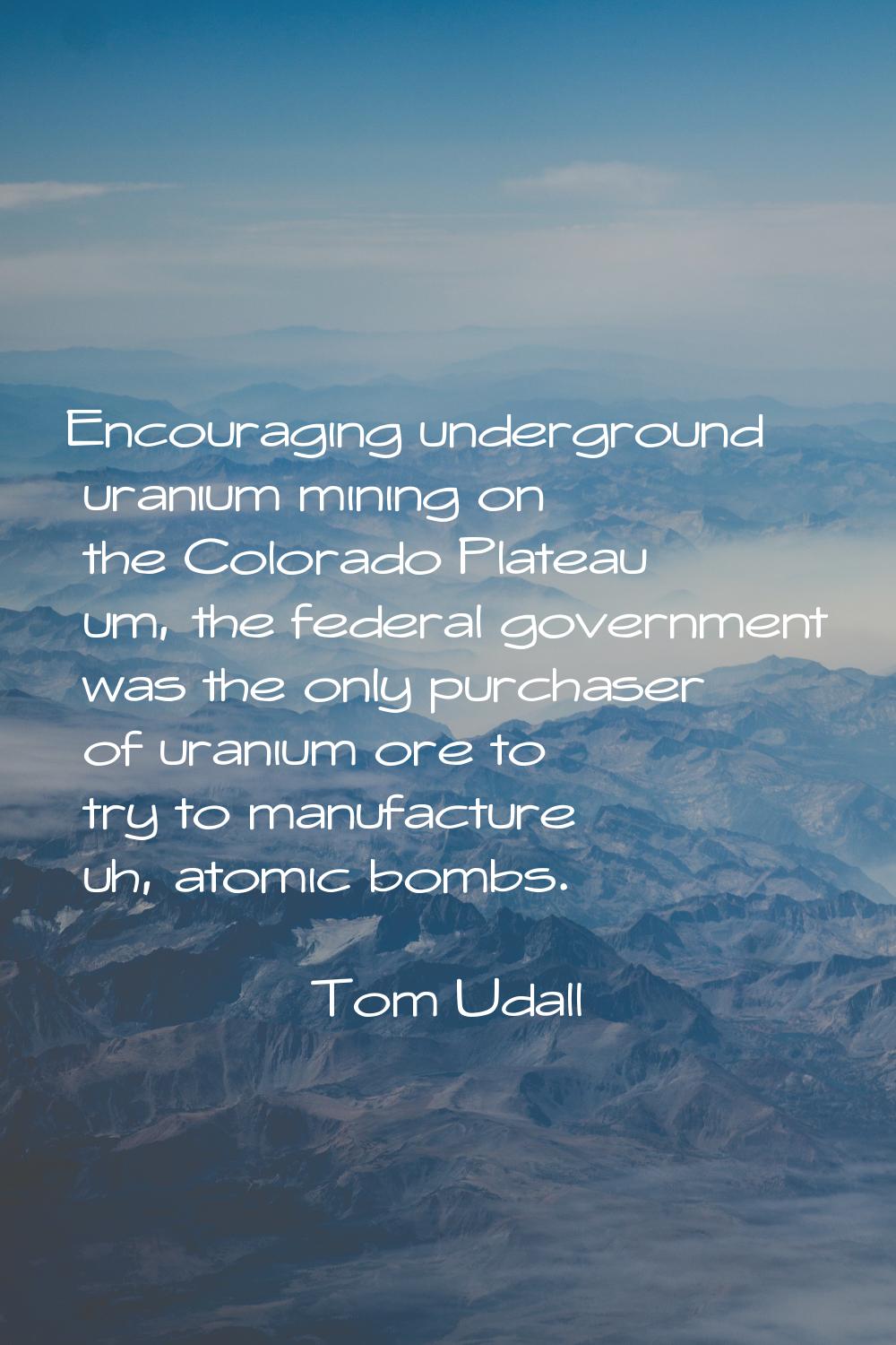 Encouraging underground uranium mining on the Colorado Plateau um, the federal government was the o