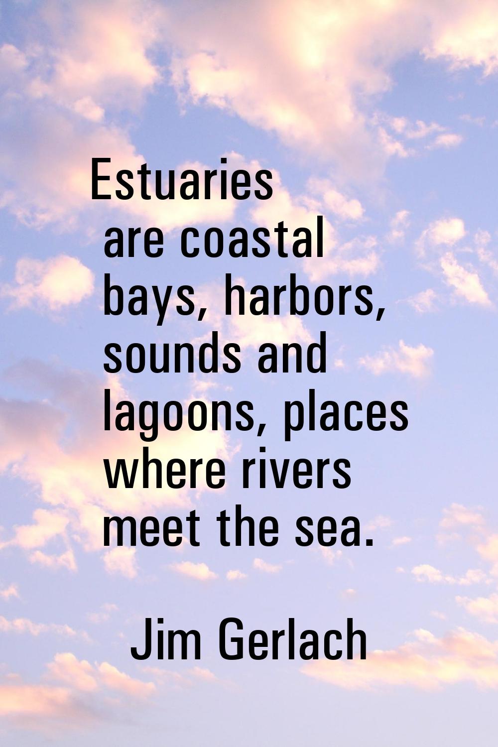 Estuaries are coastal bays, harbors, sounds and lagoons, places where rivers meet the sea.