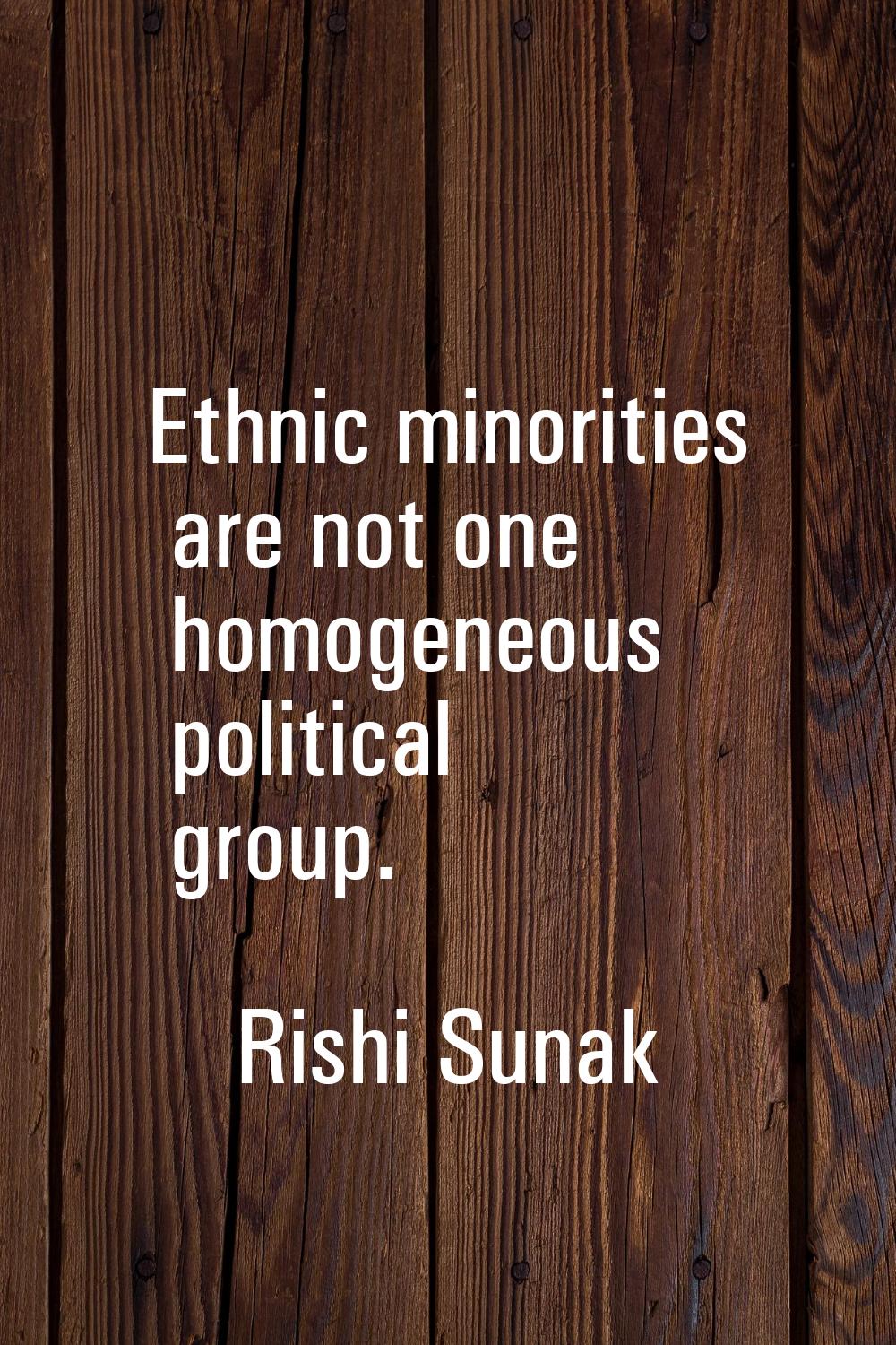 Ethnic minorities are not one homogeneous political group.