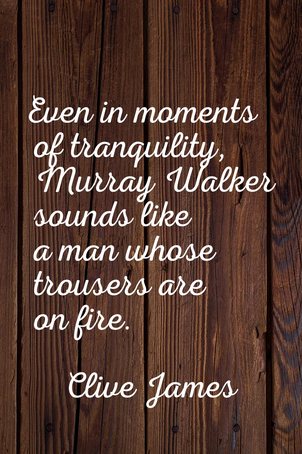 Even in moments of tranquility, Murray Walker sounds like a man whose trousers are on fire.