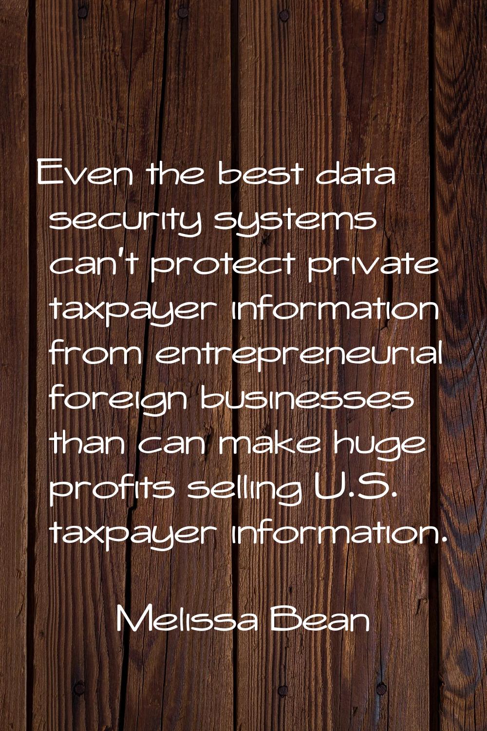Even the best data security systems can't protect private taxpayer information from entrepreneurial