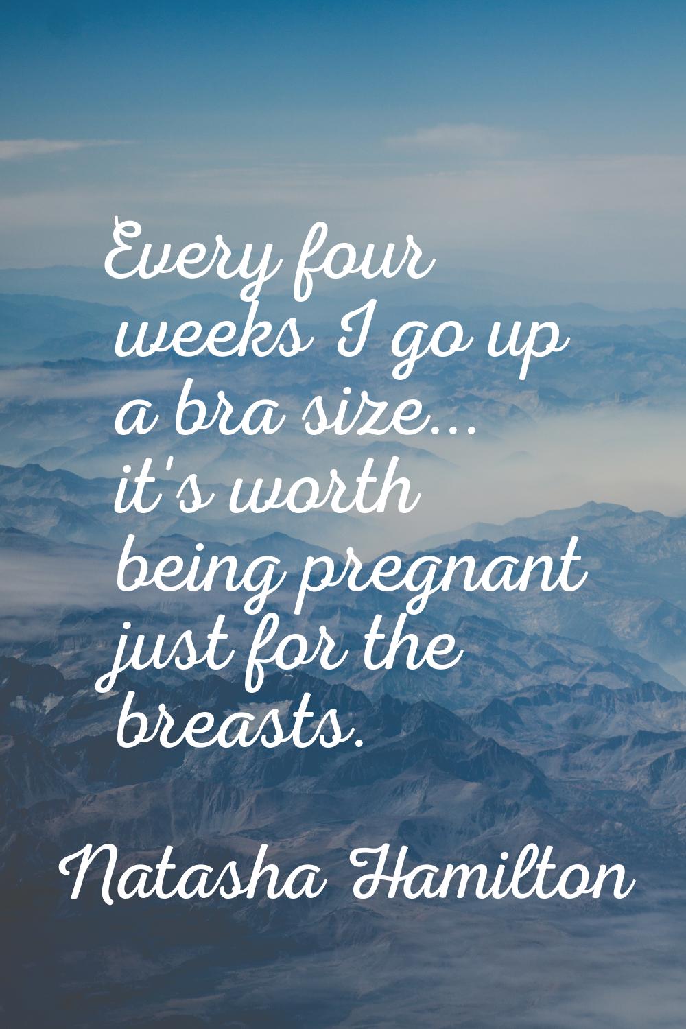 Every four weeks I go up a bra size... it's worth being pregnant just for the breasts.